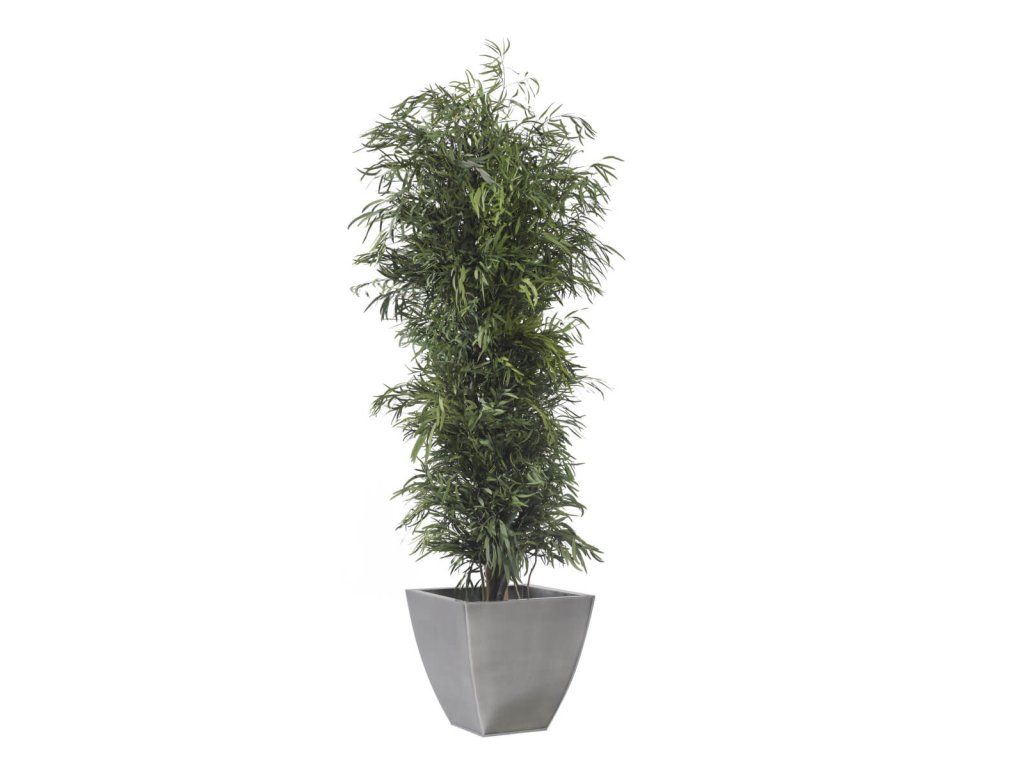 Slim Nicoly tree 1,3m
